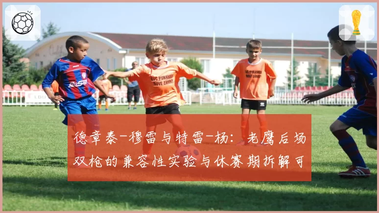 德章泰-穆雷与特雷-杨:老鹰后场双枪的兼容性实验与休赛期拆解可能性