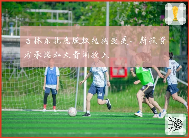 吉林东北虎股权结构变更，新投资方承诺加大青训投入