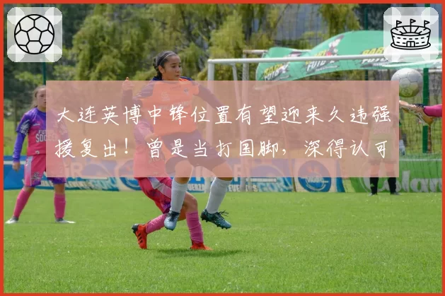 大连英博中锋位置有望迎来久违强援复出!曾是当打国脚,深得认可