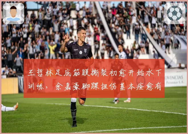 王哲林足底筋膜撕裂初愈开始水下训练,余嘉豪脚踝扭伤基本痊愈有望提前归队,重型中锋养伤期策略对比