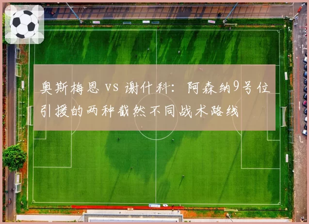 奥斯梅恩 vs 谢什科:阿森纳9号位引援的两种截然不同战术路线