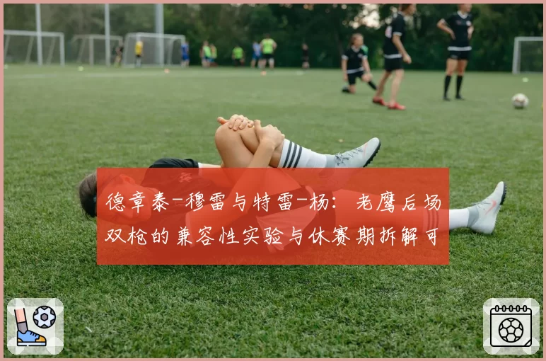 德章泰-穆雷与特雷-杨:老鹰后场双枪的兼容性实验与休赛期拆解可能性