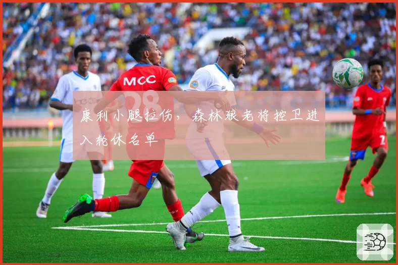 康利小腿拉伤,森林狼老将控卫进入轮休名单