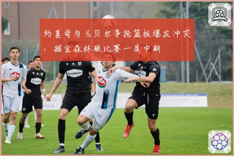 约基奇与戈贝尔争抢篮板爆发冲突，掘金森林狼比赛一度中断